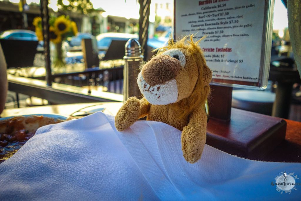 T-Chat est décidément un grand gourmand, toujours prêt dès qu'il s'agit de manger. T-Chat est décidément un grand gourmand, toujours prêt dès qu'il s'agit de manger.