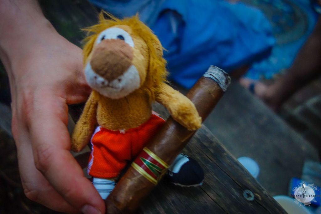 T-Chat avec son premier cigare. Regardez comme il est fier ! T-Chat avec son premier cigare. Regardez comme il est fier !