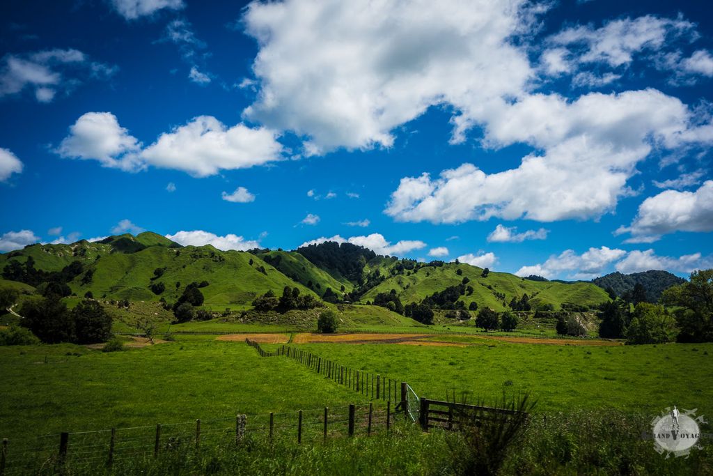 Certains trouveront ce paysage trop vert, mais moi je trouve ça superbe. Certains trouveront ce paysage trop vert, mais moi je trouve ça superbe.