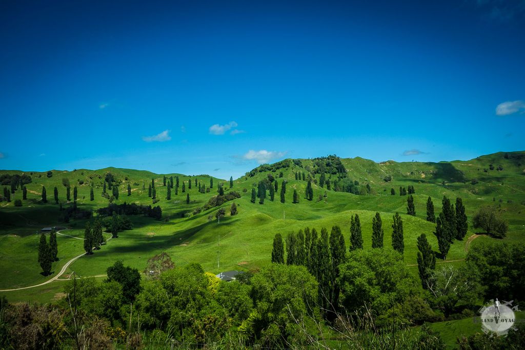 Ces collines très dessinées et presque fluo nous plongent dans la Conté (ou Shire pour ceux qui lisent en VO) du Seigneur des Anneaux. Ces collines très dessinées et presque fluo nous plongent dans la Conté (ou Shire pour ceux qui lisent en VO) du Seigneur des Anneaux.