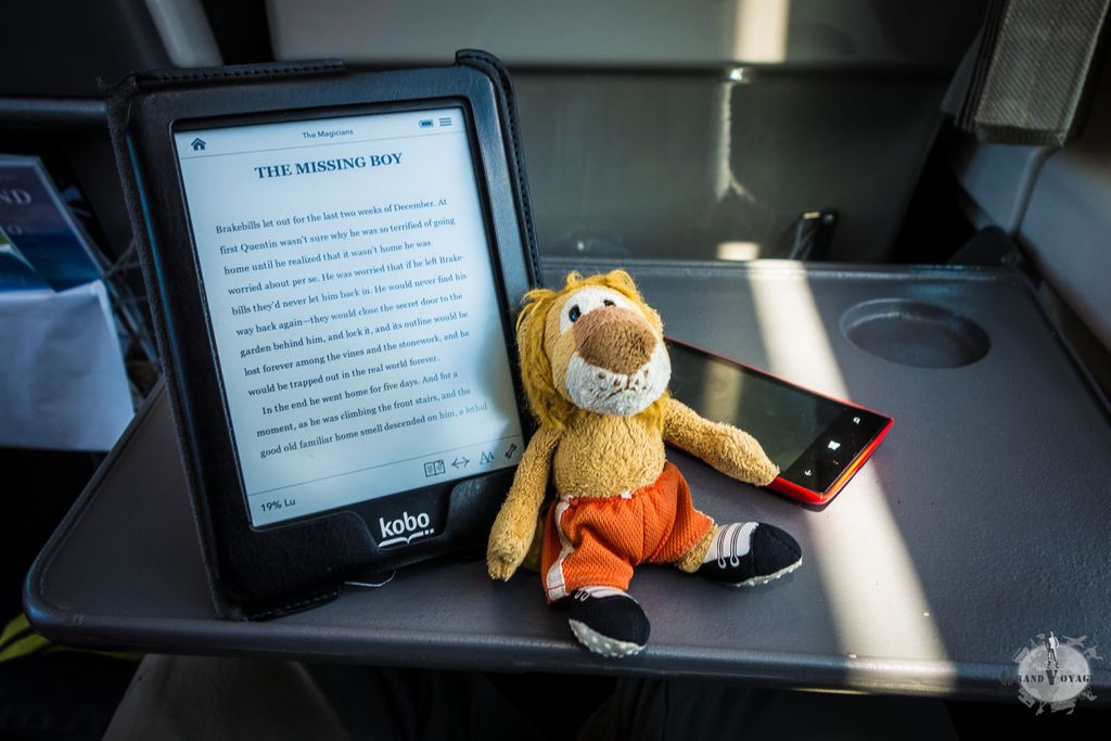 T-Chat passe en général son nez collé à la fenêtre pendant que je lis. Mais il a bien daigné pauser pour une photo. T-Chat passe en général son nez collé à la fenêtre pendant que je lis. Mais il a bien daigné pauser pour une photo.