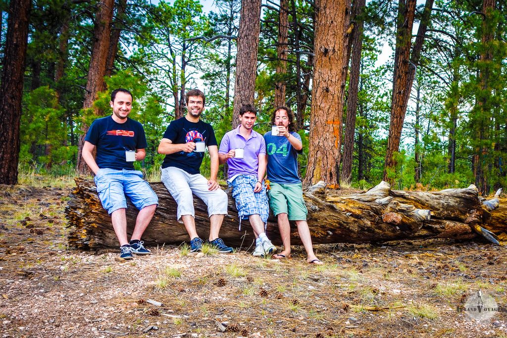Un café bien chaud, dans une vraie tasse, perdus au milieu d'une forêt, c'est le top ! Un café bien chaud, dans une vraie tasse, perdus au milieu d'une forêt, c'est le top !