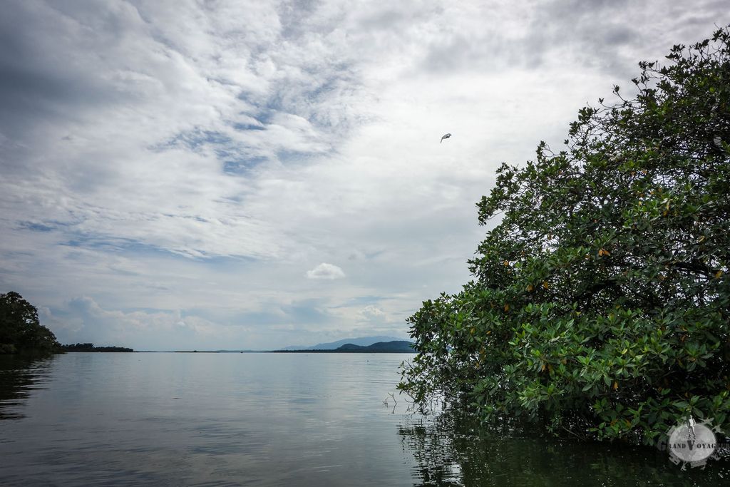 La rivière s'élargit pour ressembler à un lac.