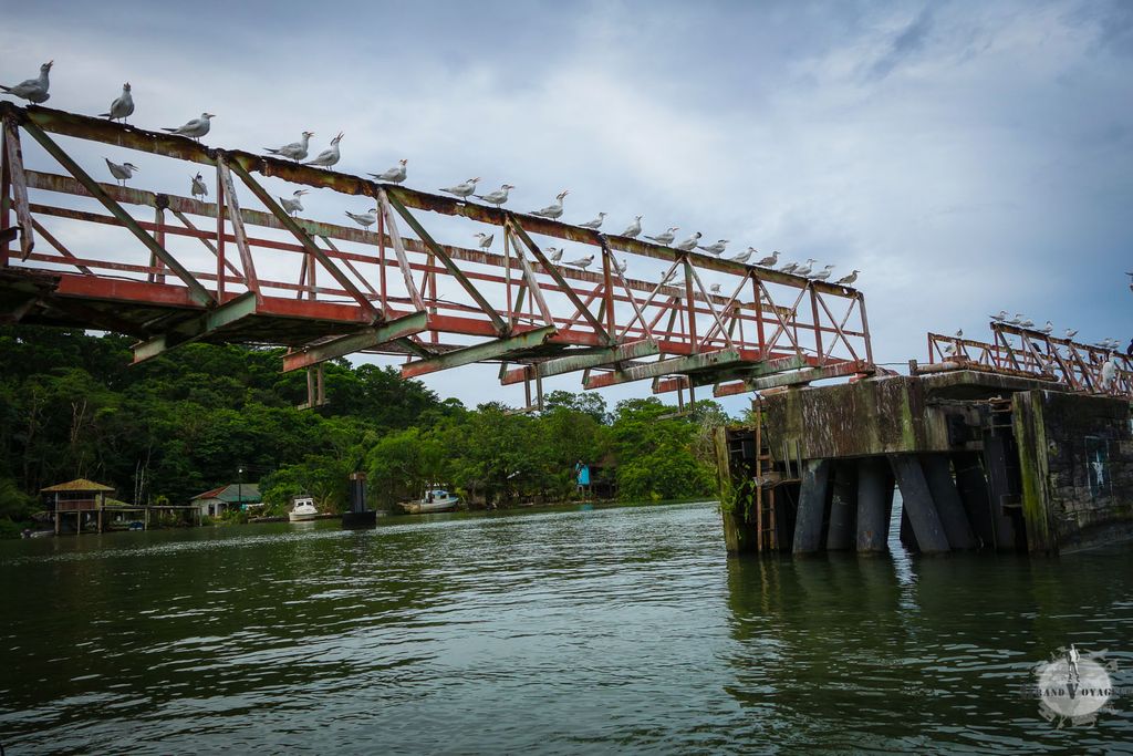 Les mouettes forment un rang d'honneur pour nous souhaiter la bienvenue. Sympa !