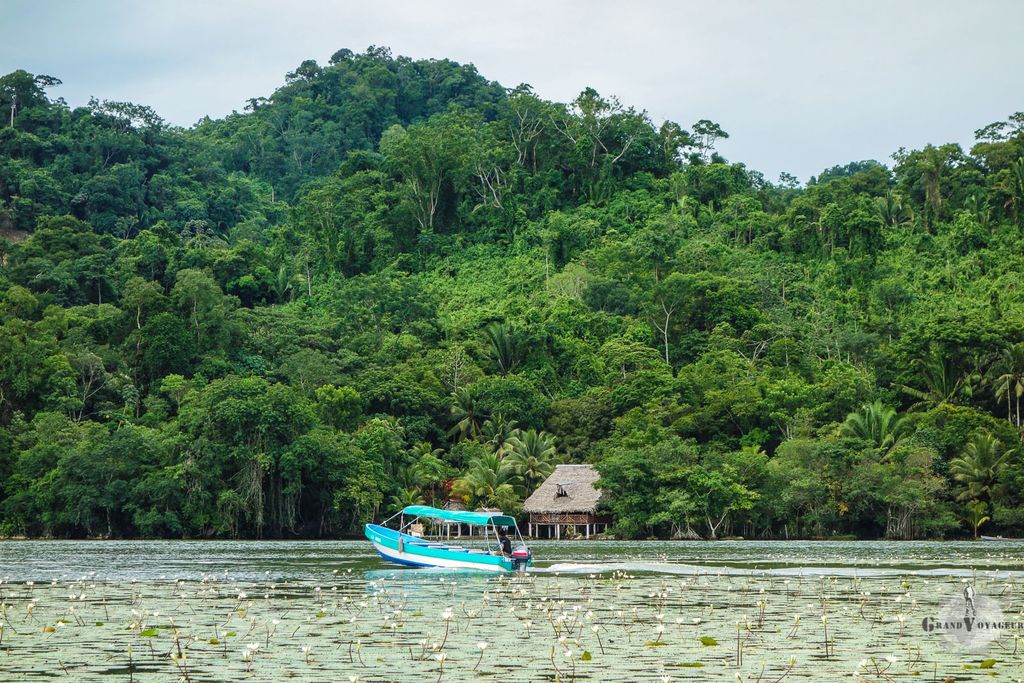 Image for De Flores à Livingston en bus et en bateau