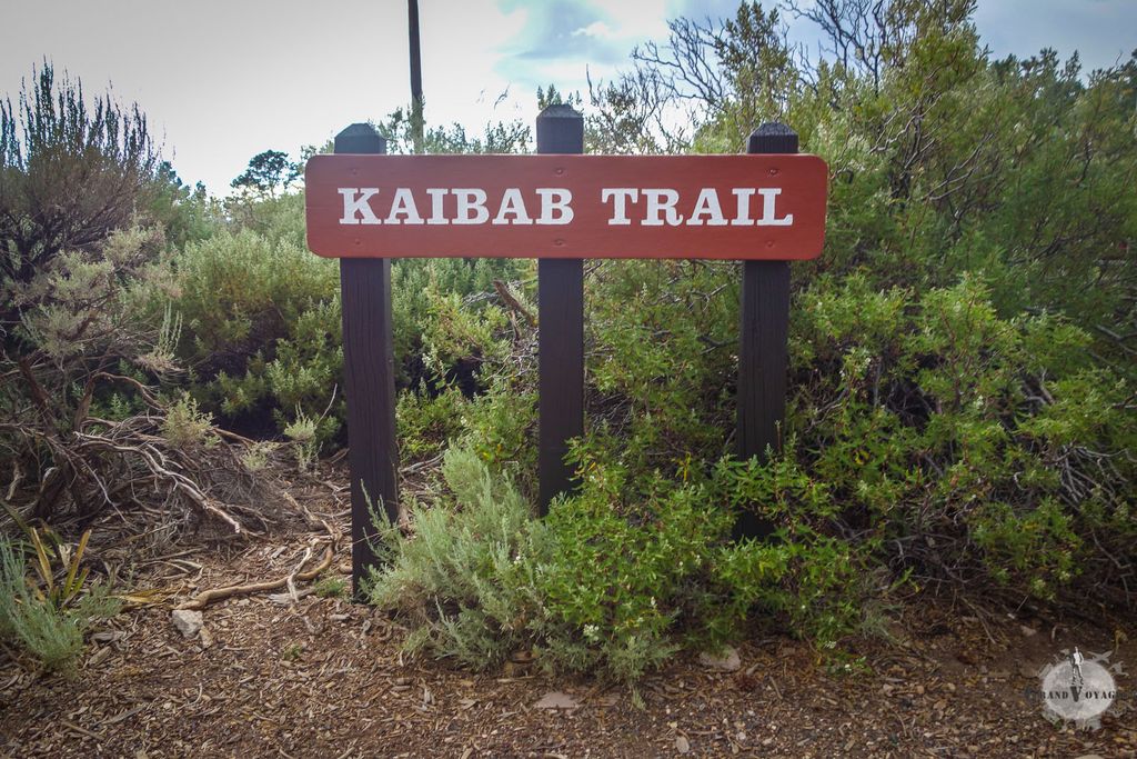 Nous rejoignons le Kaibab Trail. Ca tombe bien j'ai une petite faim. Frites Harissa Mayo pour moi chef ! (oui, j'ai mangé du clown ce matin) Nous rejoignons le Kaibab Trail. Ca tombe bien j'ai une petite faim. Frites Harissa Mayo pour moi chef ! (oui, j'ai mangé du clown ce matin)