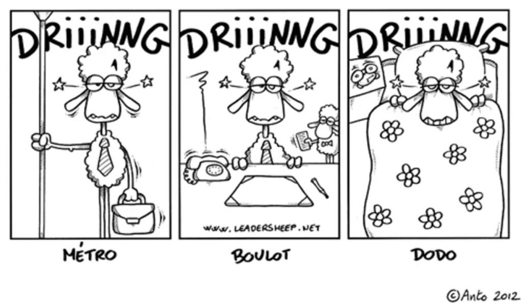 (c) Anto, http://www.leadersheep.net/