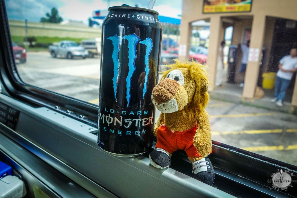 T-Chat essaie les boissons énergétiques locales... comme d'hab', il a les yeux plus gros que le ventre et je devrai l'aider à finir. T-Chat essaie les boissons énergétiques locales... comme d'hab', il a les yeux plus gros que le ventre et je devrai l'aider à finir.