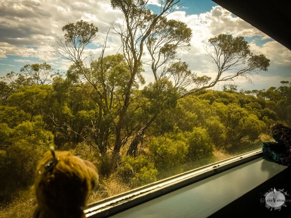 Image for Melbourne – Adélaïde en train