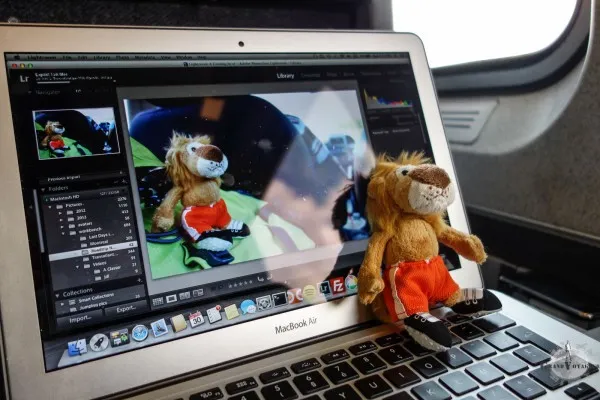 T-Chat supervise les travaux de retouche photo le concernant pour s'assurer que son image n'en sortira pas diminuée. T-Chat supervise les travaux de retouche photo le concernant pour s'assurer que son image n'en sortira pas diminuée.