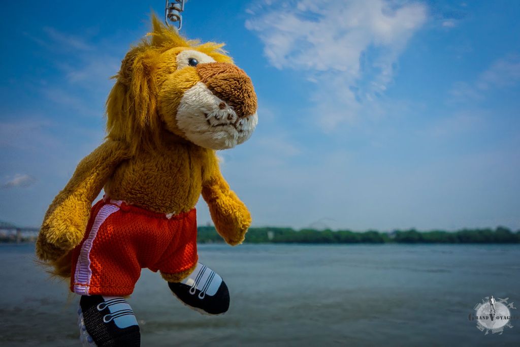 T-Chat reste suspendu face au dilemme qui s'offre à moi. Option 1/ ou 2/? T-Chat reste suspendu face au dilemme qui s'offre à moi. Option 1/ ou 2/?