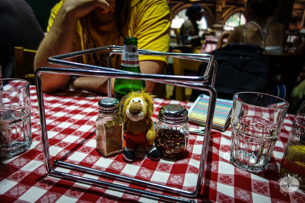 T-Chat au Grimaldi's joue dans sa cage. T-Chat au Grimaldi's joue dans sa cage.