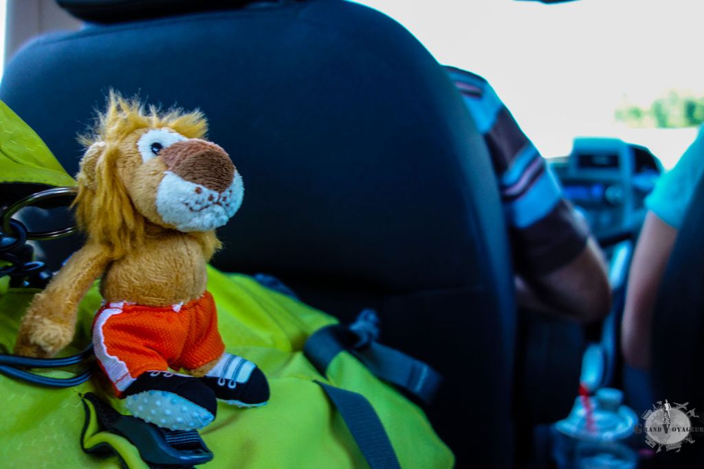 C'est toujours un peu compliqué les animaux en voiture. Mais T-Chat s'est très bien tenu pendant tout le trajet. C'est toujours un peu compliqué les animaux en voiture. Mais T-Chat s'est très bien tenu pendant tout le trajet.