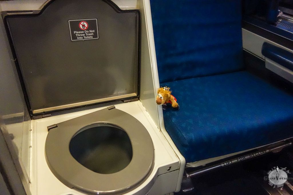 T-Chat non plus ne comprend pas pourquoi les toilettes sont ici... T-Chat non plus ne comprend pas pourquoi les toilettes sont ici...