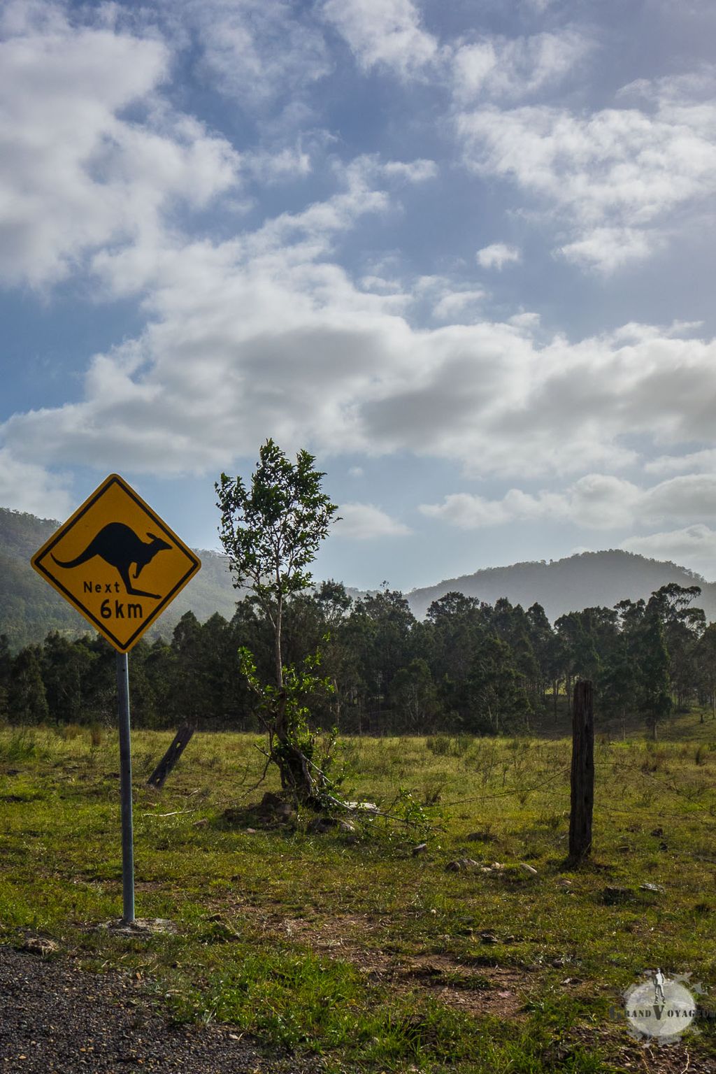 Chez nous, on a les sangliers. En Australie, ce sont les kangourous qui trouvent amusant de foncer sous les roues des voitures. Chez nous, on a les sangliers. En Australie, ce sont les kangourous qui trouvent amusant de foncer sous les roues des voitures.