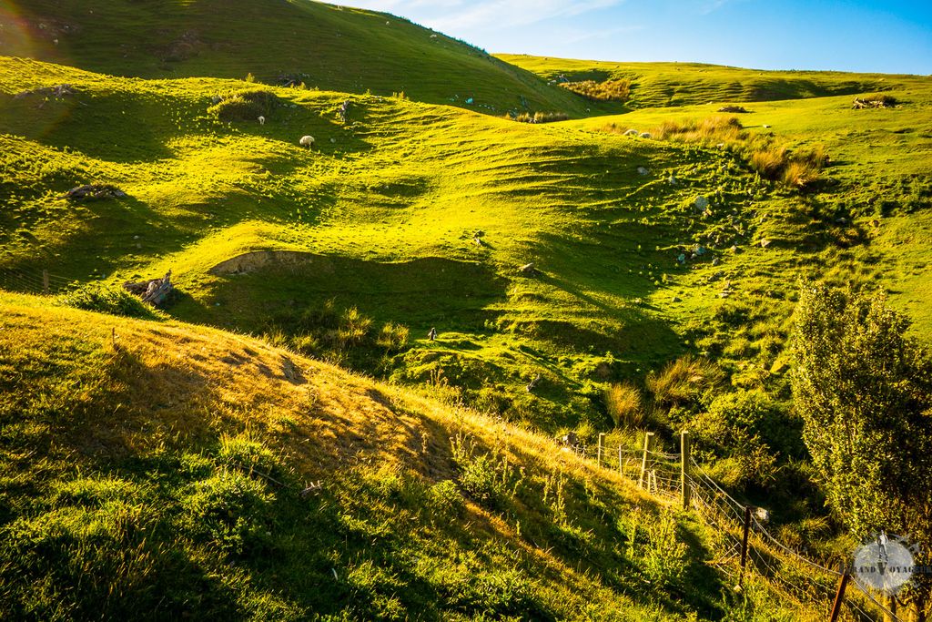 Jeu Astrapi #2: où est Ping le Penguin?