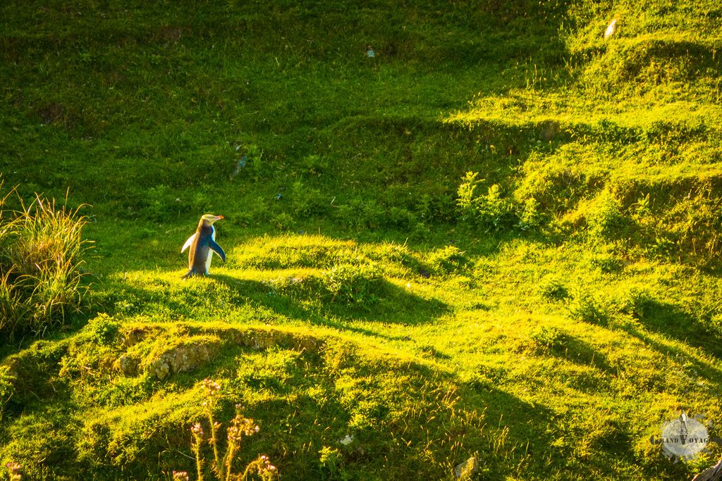 Pas trouvé ? Il était juste au milieu !