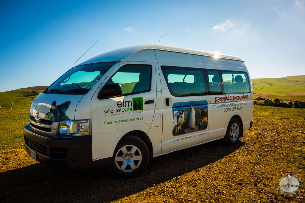 Le van d'Elm Wildlife Tour, on ne peut pas le rater.