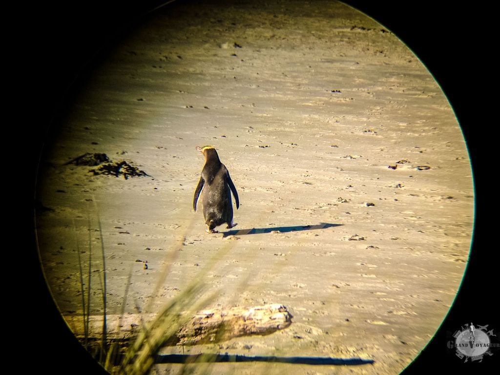 Celui-là a dû oublier quelque chose, il retourne faire les courses en mer.