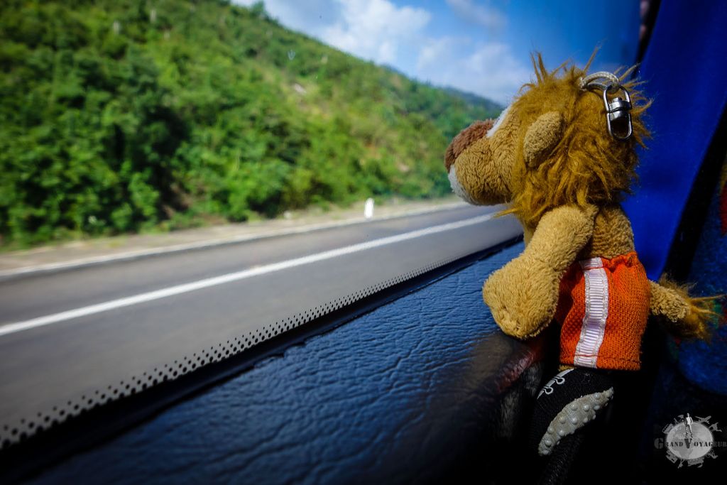 T-Chat, fidèle à son habitude est collé à la vitre T-Chat, fidèle à son habitude est collé à la vitre