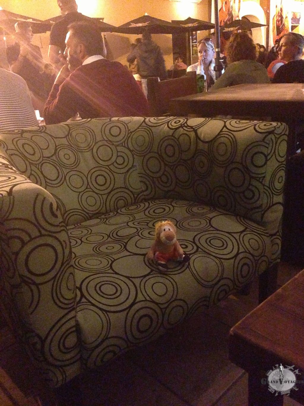 Parfois, le soir, on autorise T-Chat à sortir avec nous. Parfois, le soir, on autorise T-Chat à sortir avec nous.