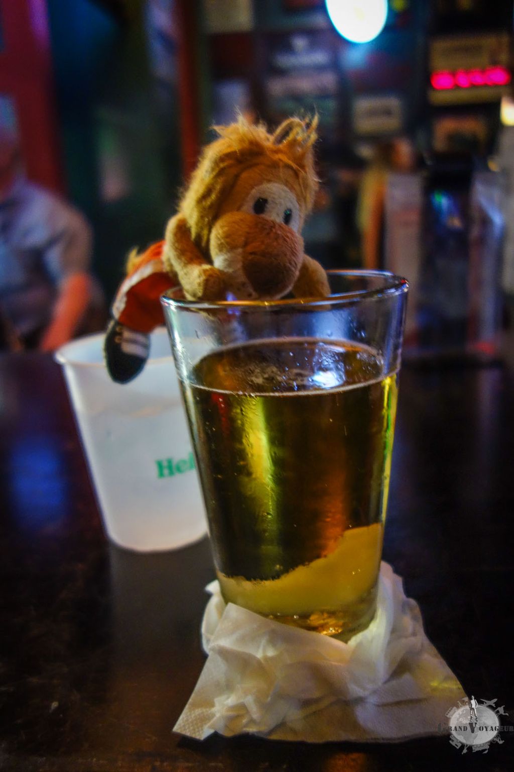 T-Chat essaie de voler un peu de bière, pensant qu'on ne le voit pas... tss tss T-Chat ! T-Chat essaie de voler un peu de bière, pensant qu'on ne le voit pas... tss tss T-Chat !