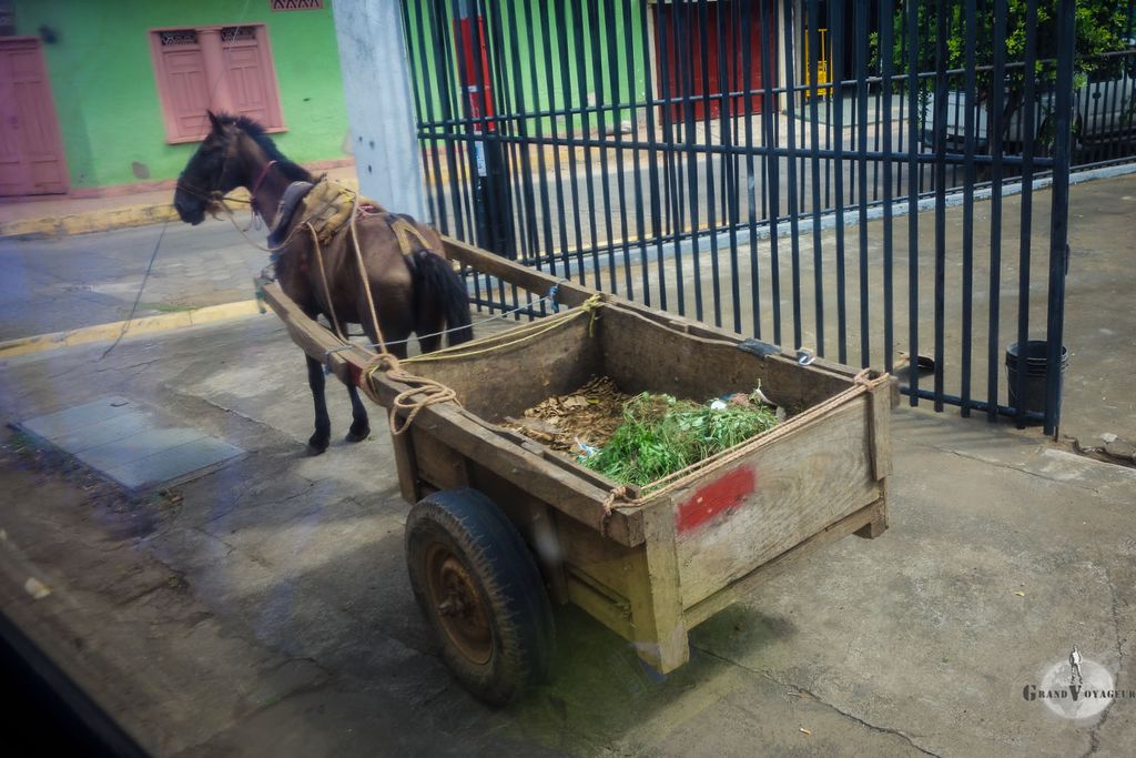 En plein Nicaragua, on trouve tout type de moyens de transport. Au moins, pas besoin d'essence ! En plein Nicaragua, on trouve tout type de moyens de transport. Au moins, pas besoin d'essence !