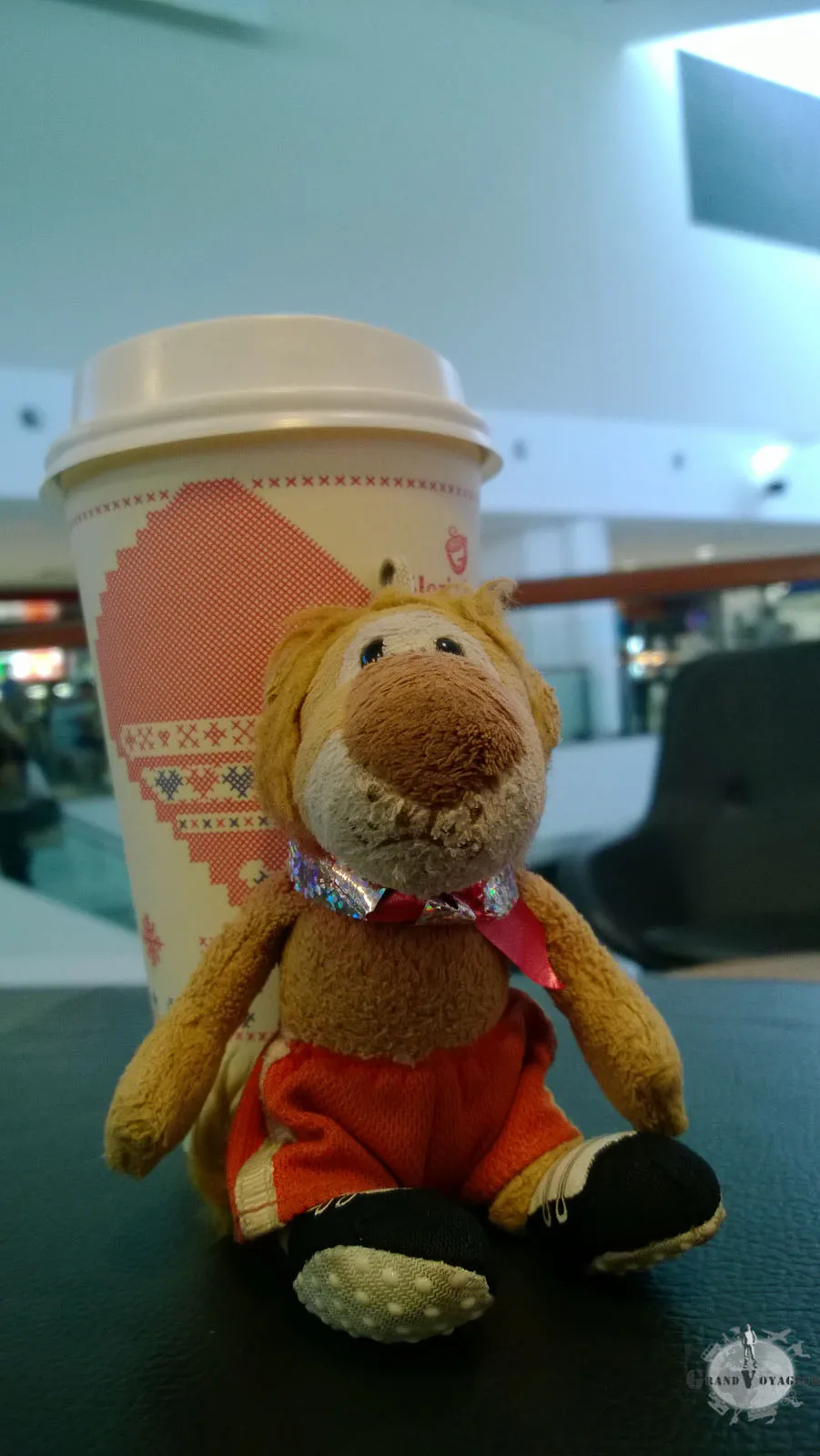 T-Chat en Australie T-Chat en Australie