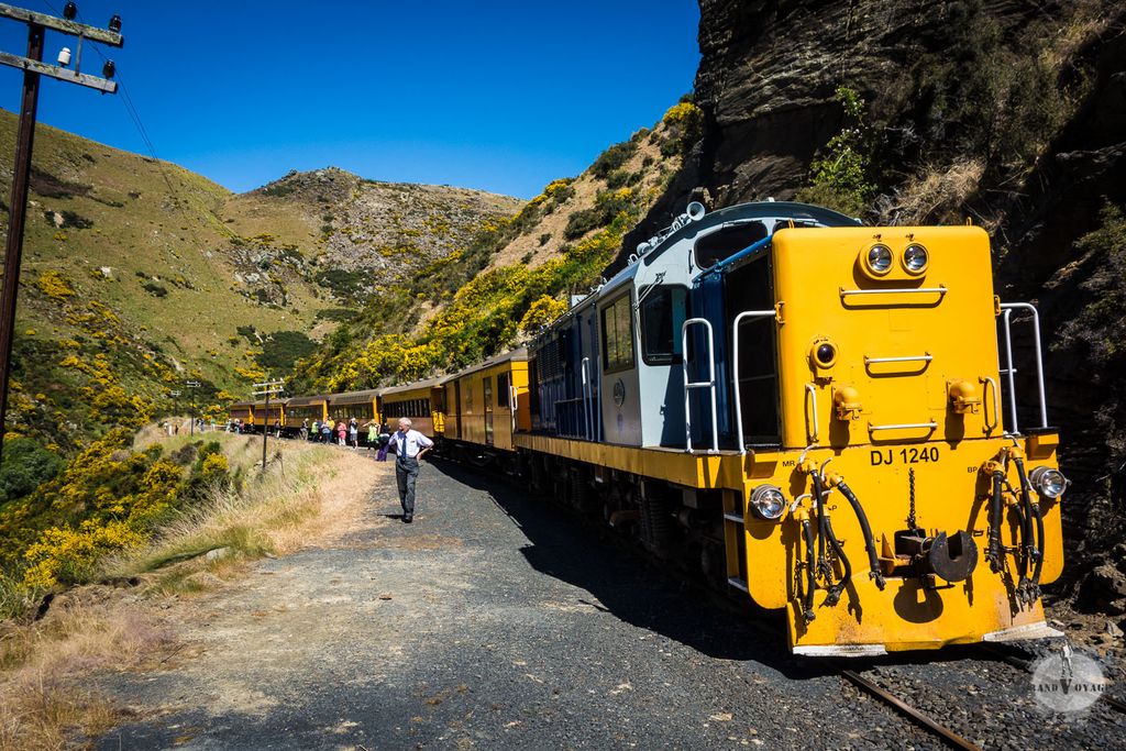 Image for De Dunedin à Pukerangi en train, au cœur de la Nouvelle-Zélande sauvage