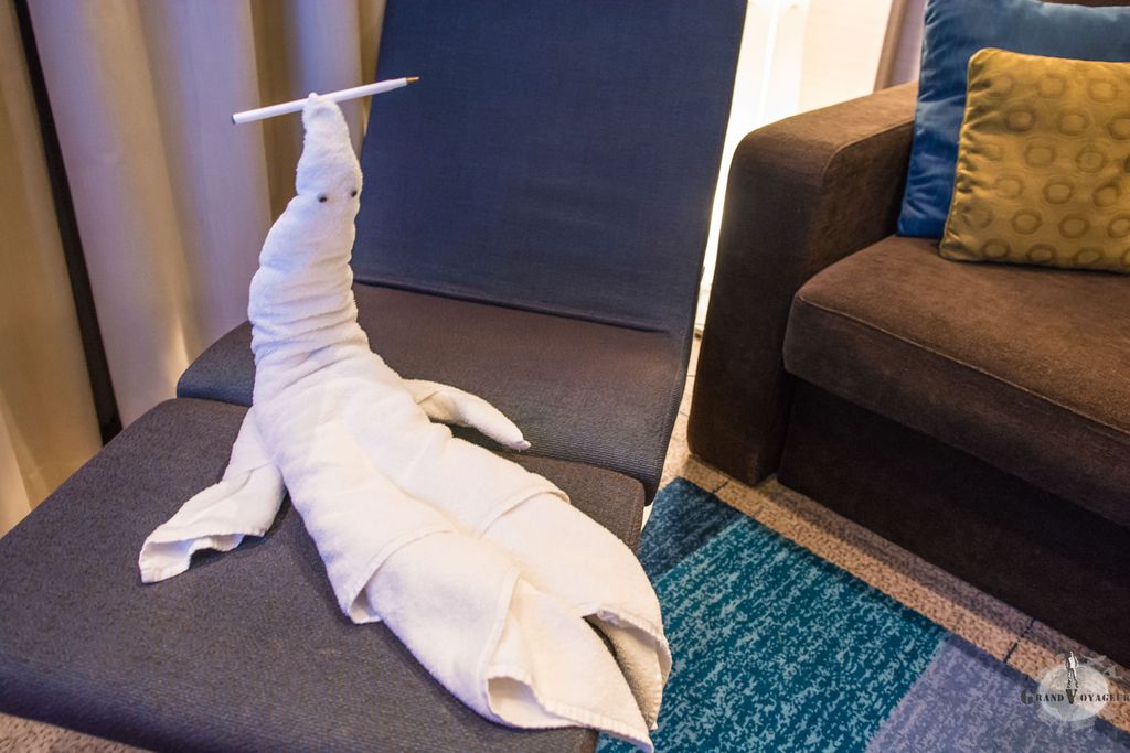 Toufi le phoque tout fou