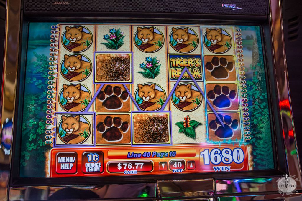 Et des plus récents. Wow, on a gagné des tigres !