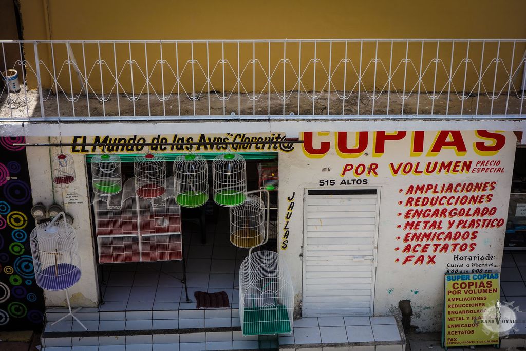 Devant notre hostel, on vend des cages et des oiseaux. Ca piaille toute la journée. Devant notre hostel, on vend des cages et des oiseaux. Ca piaille toute la journée.