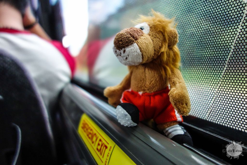 T-Chat, sage comme à son habitude T-Chat, sage comme à son habitude