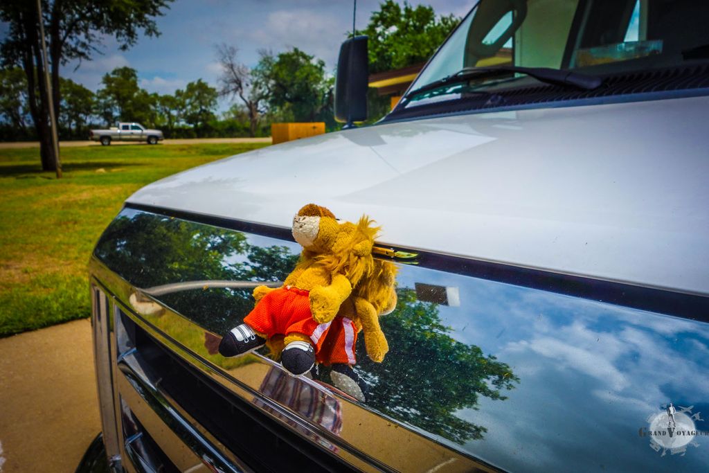 T-Chat profite de la pause pour une séance de bronzage. T-Chat profite de la pause pour une séance de bronzage.