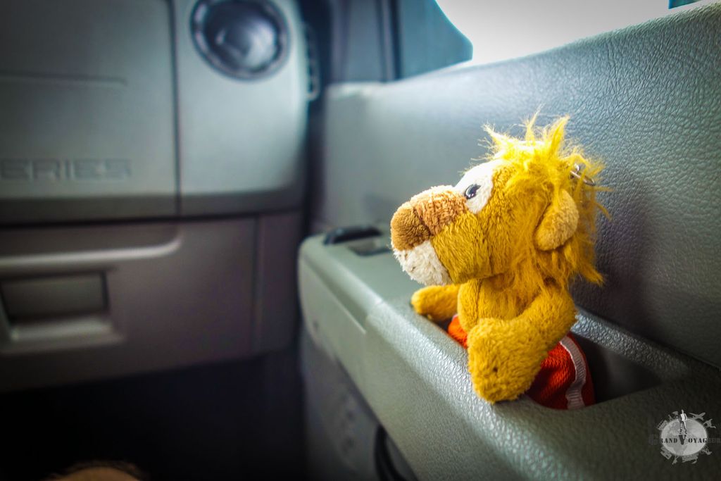 T-Chat est excité par le fait d'être le copilote alors que tout le monde dort T-Chat est excité par le fait d'être le copilote alors que tout le monde dort