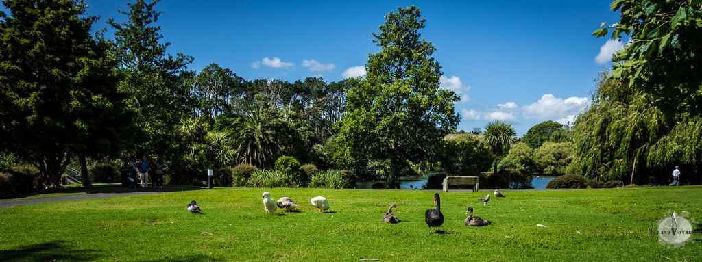 A l'entrée du Parc Western Springs, une délégation spéciale nous accueille. A l'entrée du Parc Western Springs, une délégation spéciale nous accueille.