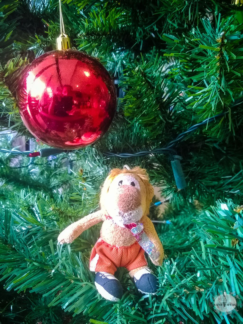 T-Chat, lui n'a aucun problème pour se mettre en "mode Noël" T-Chat, lui n'a aucun problème pour se mettre en "mode Noël"