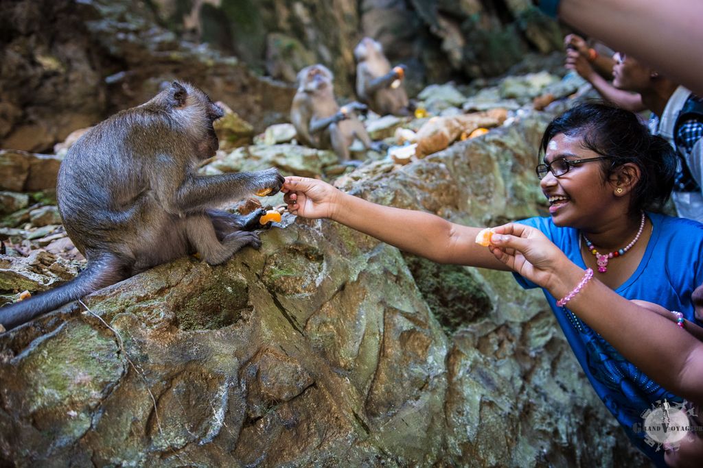 Monsieur Social Monsieur Social