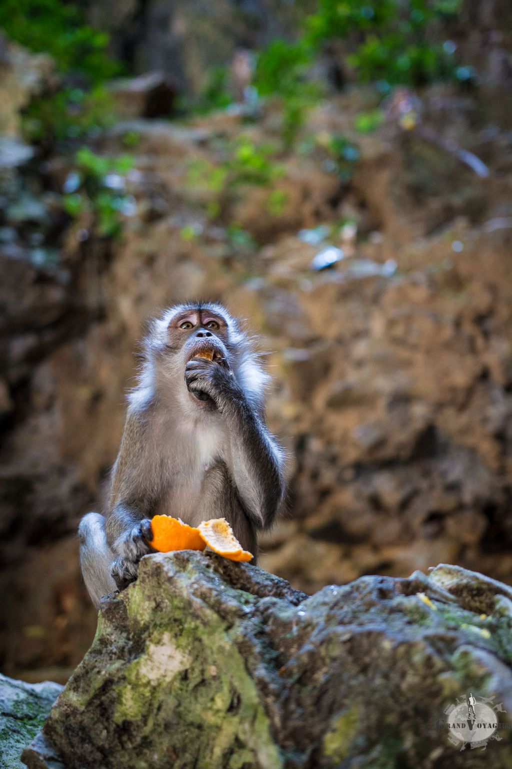 Monsieur Guinness Book, qui essaie de battre le record de la plus grosse orange dans la bouche. Monsieur Guinness Book, qui essaie de battre le record de la plus grosse orange dans la bouche.