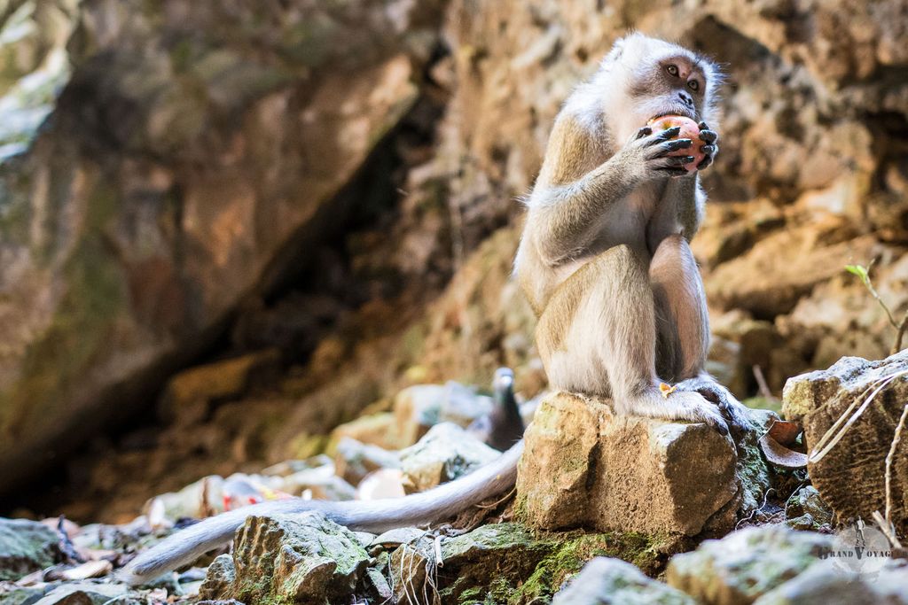 Monsieur Penseur Monsieur Penseur