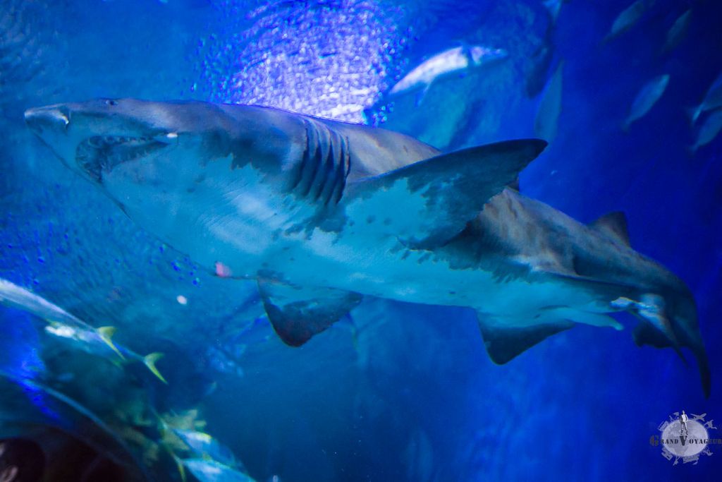 J'espère qu'il est solide ce truc en verre... J'espère qu'il est solide ce truc en verre...