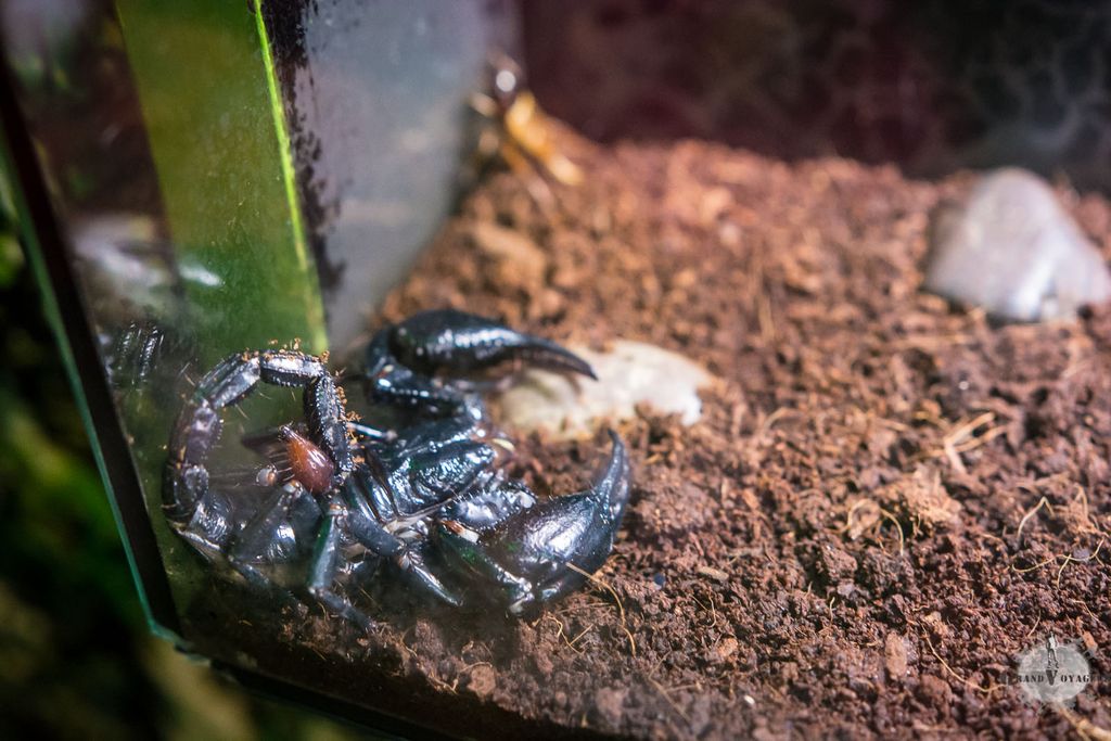 ... très très content ! ... très très content !