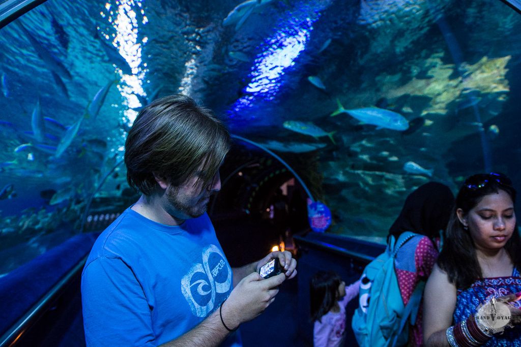 Dans le tunnel de verre, un tapis mécanique nous conduit à vitesse réduite. Dans le tunnel de verre, un tapis mécanique nous conduit à vitesse réduite.