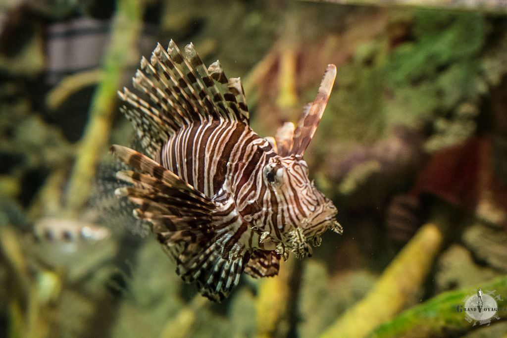 L'est charmant celui-là. L'est charmant celui-là.