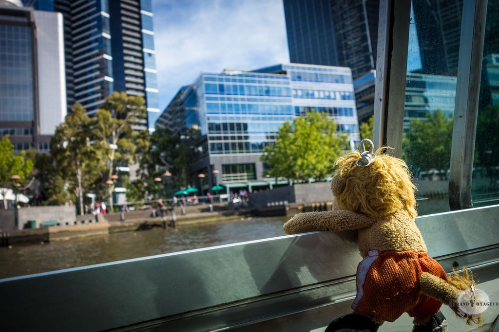 T-Chat aussi aime les balades en bateau. T-Chat aussi aime les balades en bateau.