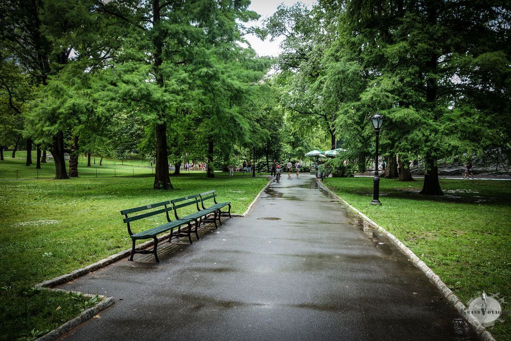 Central Park : un gros morceau de verdure dans un océan de gratte-ciel Central Park : un gros morceau de verdure dans un océan de gratte-ciel