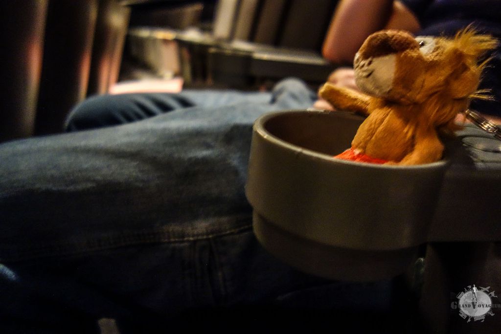 T-Chat a trouvé sa place et est prêt au spectacle T-Chat a trouvé sa place et est prêt au spectacle