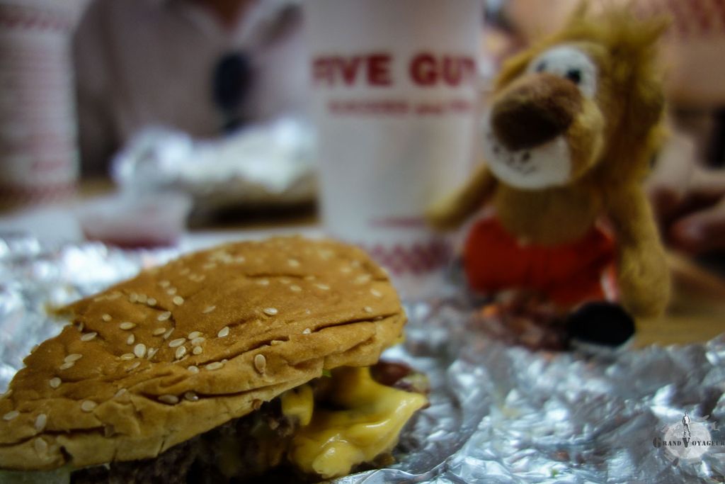 T-Chat découvre les burgers du Five Guys. Il n'a pas l'air rassuré... T-Chat découvre les burgers du Five Guys. Il n'a pas l'air rassuré...