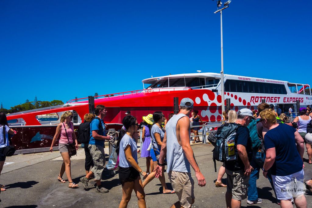 Le Rottnest Express, reliant Perth à l'île de Rottnest. Le Rottnest Express, reliant Perth à l'île de Rottnest.