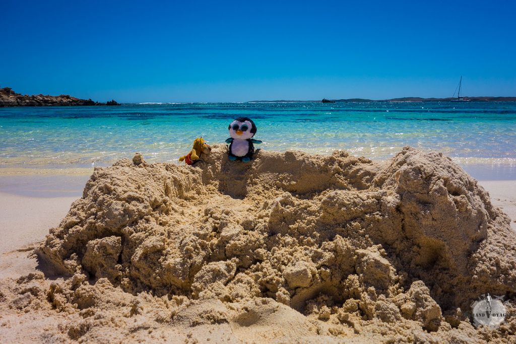 Image for Perth et l’île paradisiaque de Rottnest